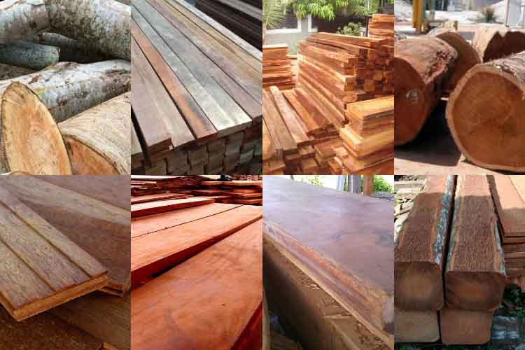 Harga Kayu Terbaru Untuk Bangunan