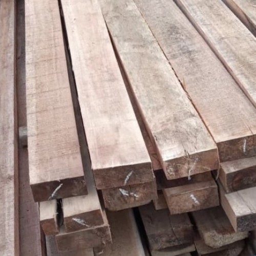 Harga Kayu Galar Per Batang Terbaru