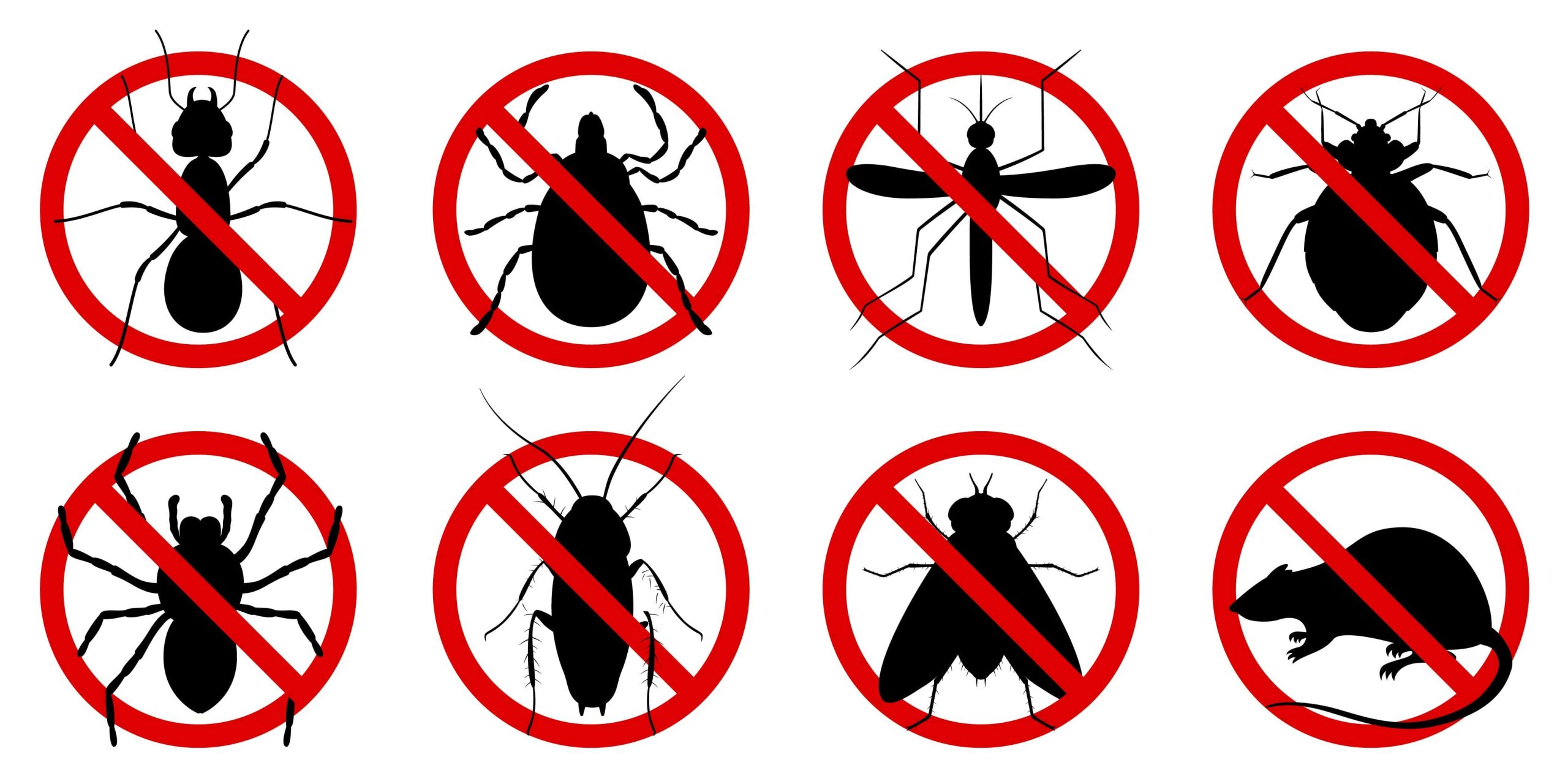Jasa Pest Control Kelurahan Tengah