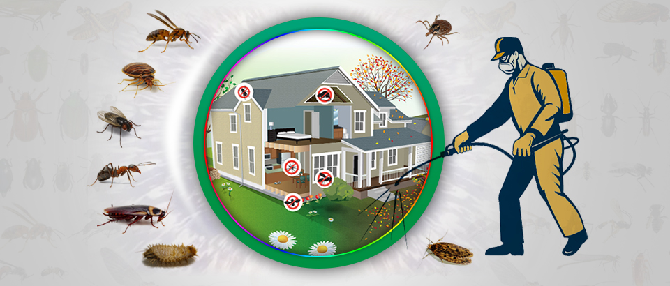 Jasa Pest Control Kecamatan Jatinegara